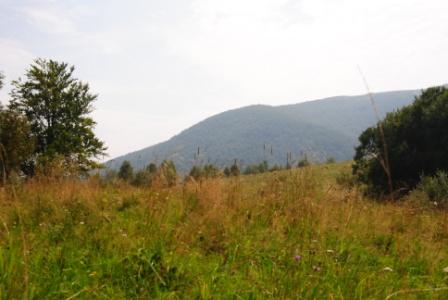Bieszczady