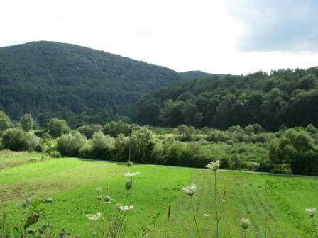 Bieszczady
