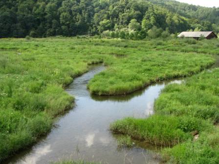 Bieszczady